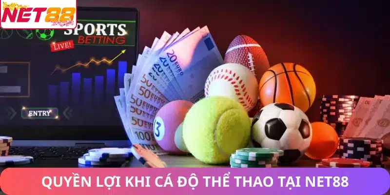 Quyền lợi khi chơi cá cược thể thao Net88